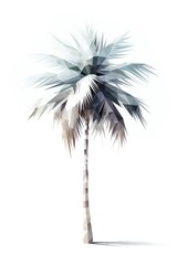 Beautiful low poly palm on white background. Abstract botanical