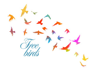 Fototapeta premium A flock of colored birds. hand drawing. Free birds. Not AI, Vector illustration