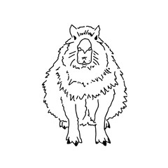 Capybara hand drawing animals south america vector image.