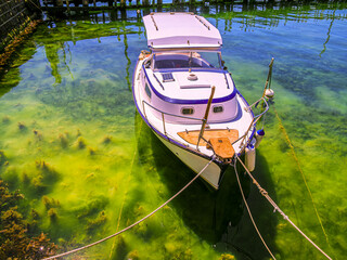  White Cruiser Floats On Green Algae