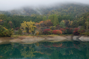 山から降りる霧と紅葉の半田山自然公園