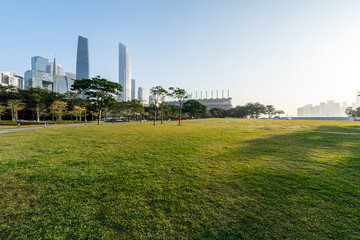 Fototapeta na wymiar green lwan with city skyline