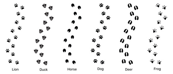 Lion, Deer, Duck, Horse, Dog and Frog black foot print animals. Illustration background design.