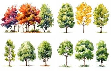 watercolor style illustration of various type of trees, summer and autumn collection set isolated on white background, Generative Ai