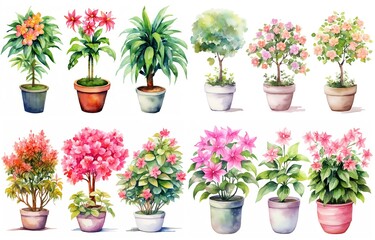 Fototapeta na wymiar watercolor style illustration of various type of tropical flower pot plant, summer vibe collection set isolated on white background, Generative Ai