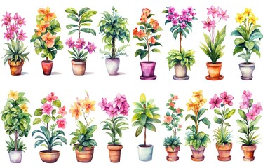 watercolor style illustration of various type of tropical flower pot plant, summer vibe collection set isolated on white background, Generative Ai - obrazy, fototapety, plakaty