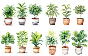 watercolor style illustration of various type of tropical foliage pot plant summer collection set isolated on white background, Generative Ai