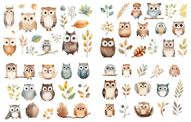 Sierkussen watercolor style illustration of cute owl bird and autumn foliage, winter and fall collection set isolated on white background, Generative Ai © QuietWord