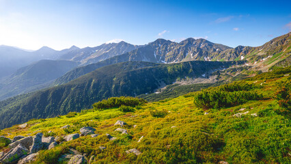 Fototapeta na wymiar alpine meadow in summer