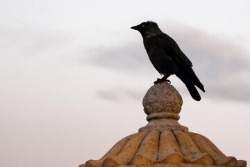 A black bird is perched on a stone finial against a cloudy sky.