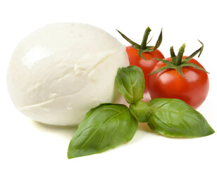 Mozzarella with tomatoes and basil isolated on white background, cutout