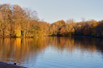 autumn trees reflected in water