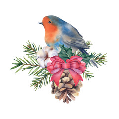 A robin is a bird on a fir branch with a cone, cotton and mistletoe. Watercolor illustration. New Year and Christmas. Winter forest. Printing on postcards. Clipart.
