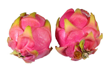 Dragon fruit, pitaya, pitahaya, fruit of the genus Selenicereus (formerly Hylocereus), both in the...