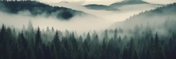  green forest. A deep fog drifts over the layers of mountains and deep forests. 10:3 ratio suitable for banners. Concept of natural environment protection and natural healing. © omune