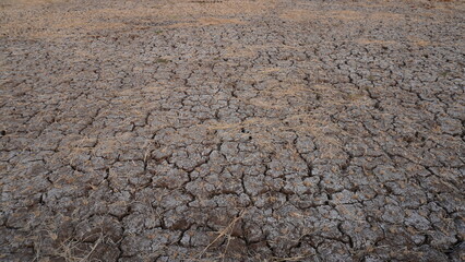 plowed field after harvest