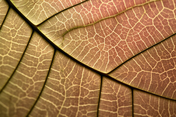 close up view of a leaf's texture created with Generative Ai