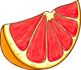 Grapefruit slice Illustration