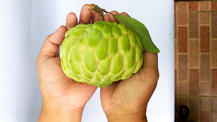 melwa fruit or nona fruit. This is the nona fruit in Indonesia. This fruit is similar to soursop...