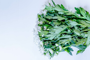 Bouquet of field daisies on a white background. White daisy flowers bouquet.