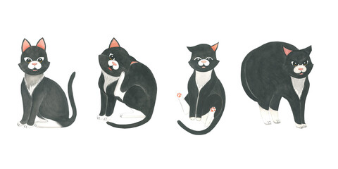 Set of watercolor illustrations of a black cat in various poses.Hand drawn isolated on a transparent background