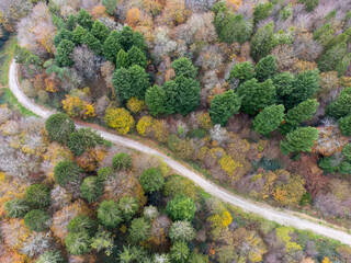Idless woods near truro aerial drone cornwall uk autumn winter
