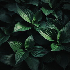 green leaves in black background created with Generative Ai