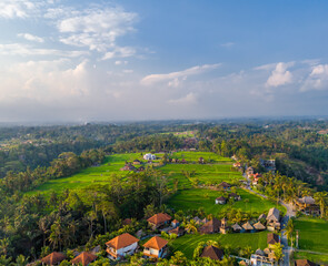 Fototapeta na wymiar Aerial drone view of green rice fields in Ubud, Bali island, Indonesia. Terraces located next to city center