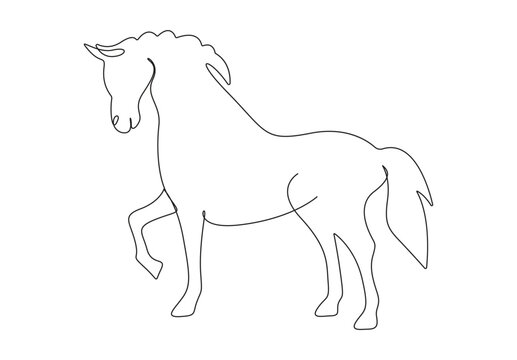 Horse continuous one line drawing of vector illustration. Isolated on white background. Pro vector. 
