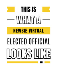 This is what a newbie virtual elected official looks like