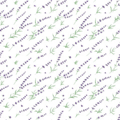 Hand drawn seamless pattern with shining glowing line art provance diagonal  purple lavender flowers.Floral spring summer botanical backdrop on white background.