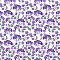 Fototapeta na wymiar Blooming purple violet wild flowers with green leaves and delicate petals as floral seamless pattern isolated on white background. Aquarelle summer ornament