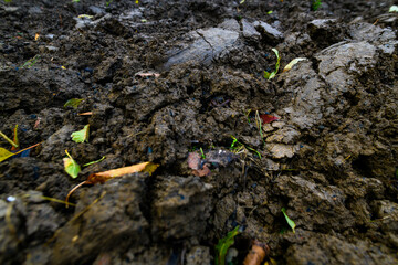 Ploughed vegetable garden field. Home garden prepared for winter. End of growing season.
