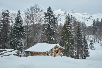 A charming little wooden house made of logs in a winter forest. Mountain landscape