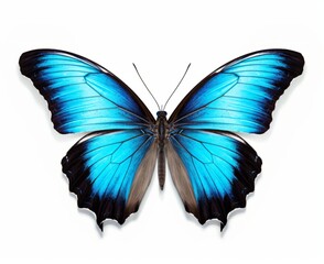 Stunning Close-Up: Azure-Winged Butterfly's Aerial Elegance Captured Generative AI