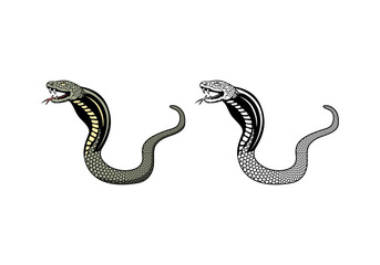 Cobra Snake Design Illustration vector eps format , suitable for your design needs, logo, illustration, animation, etc.