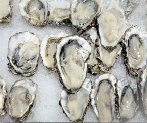 Fresh tasty oysters on crushed ice. View from above