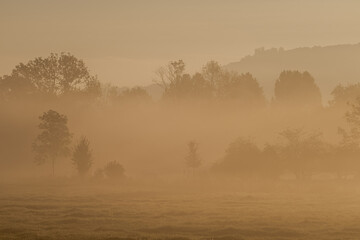 Fototapeta na wymiar Atmospheric landscape with trees at sunrise and fog glowing orange in Bad Pyrmont, Germany.