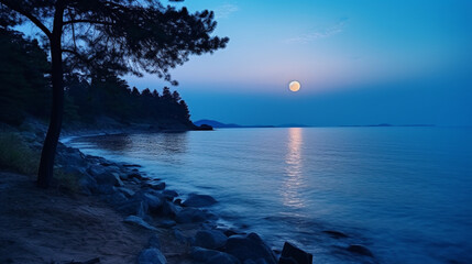Admirable vista of the ocean Full moon over