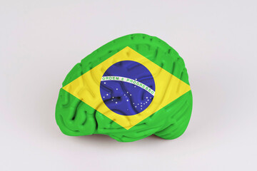 On a white background, a model of the brain with a picture of a flag - Brazil