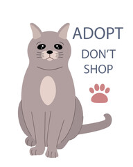 Animal adoption. Animal shelter, adopt, don't buy. Cat and text on a white background