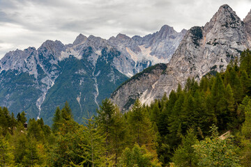 Mountains and forest. Julian Alps  In Slovenia.