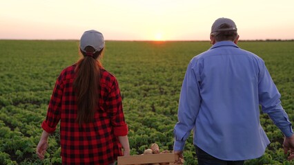 two farmers walk across field carrying box vegetables hands. vegetables sunset farm. farmer work....