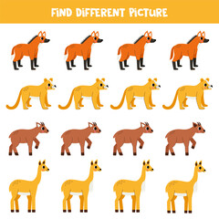 Find different South American animal in each row. Logical game for preschool kids.