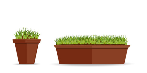 Young green in flower pots icons set. Indoor plant. Houseplant. Vector illustration