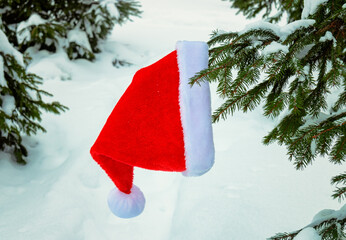 Santa hat hanging on branch of spruce tree in winter snow forest.