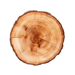 front view black locust tree slice cookie isolated on a white transparent background 