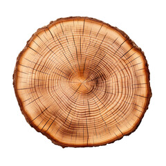 front view hickory tree slice cookie isolated on a white transparent background 