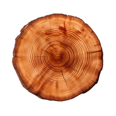 front view pecan tree slice cookie isolated on a white transparent background  - obrazy, fototapety, plakaty
