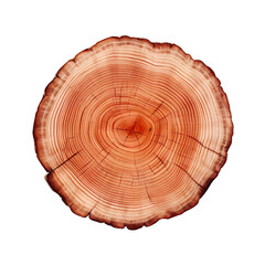 front view redwood tree slice cookie isolated on a white transparent background 